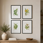 Gracious Living Botanical Black & White Flower Art 4 Piece in a styled living room setting above a wooden console table.