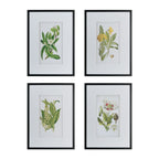 Gracious Living Botanical Black & White Flower Art 4 Piece, featuring four framed botanical flower prints with black frames and white matting.
