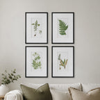 Gracious Living Botanical Black & White Fern Art 4 Piece in a styled living room setting above a neutral sofa.