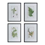 Gracious Living Botanical Black & White Fern Art 4 Piece, featuring four framed botanical fern prints with black frames and white matting.