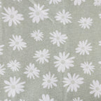 White daisies on a gray background