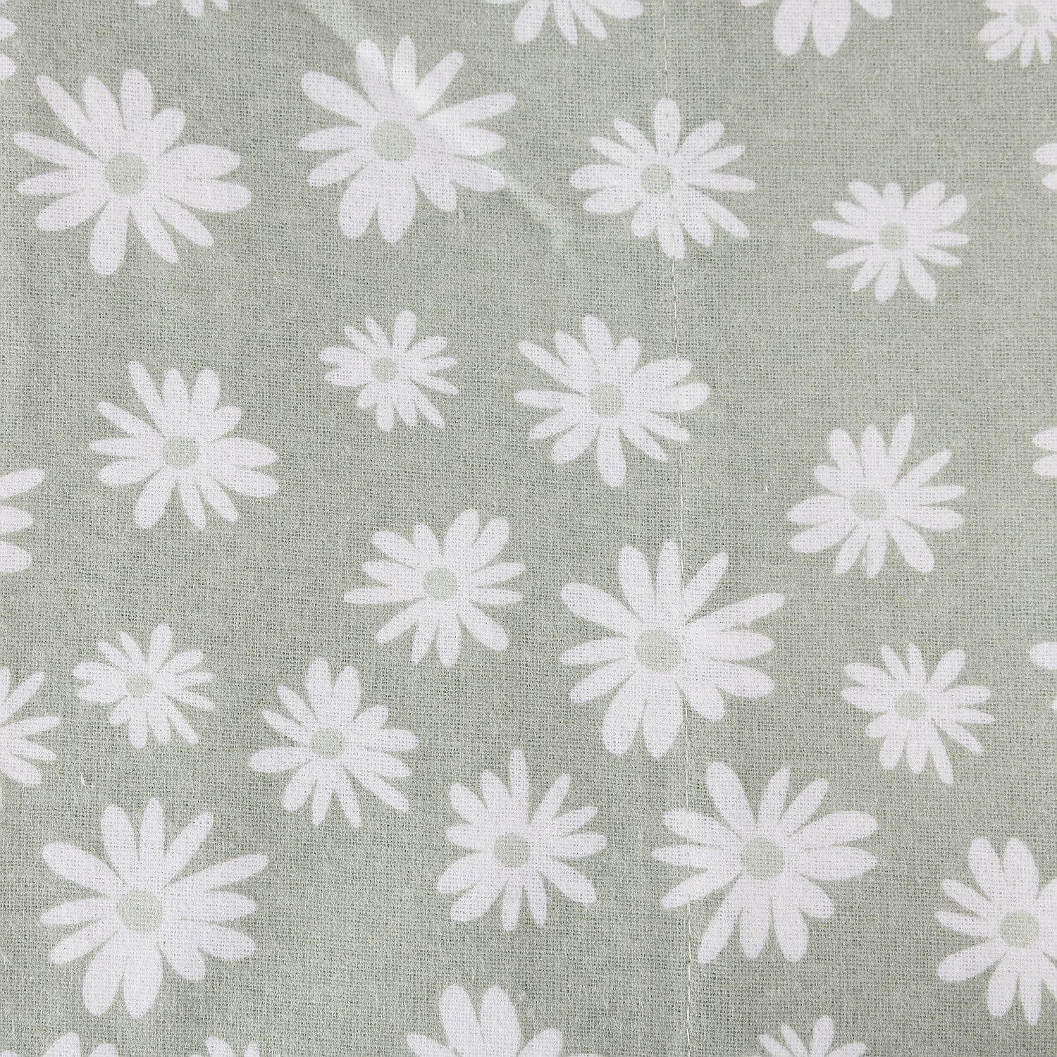 White daisies on a gray background