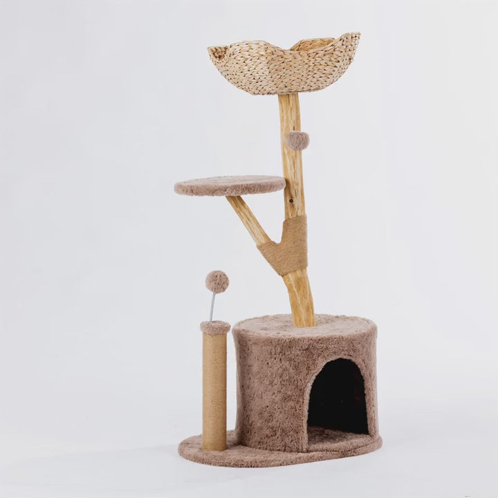 Cat Tower Video