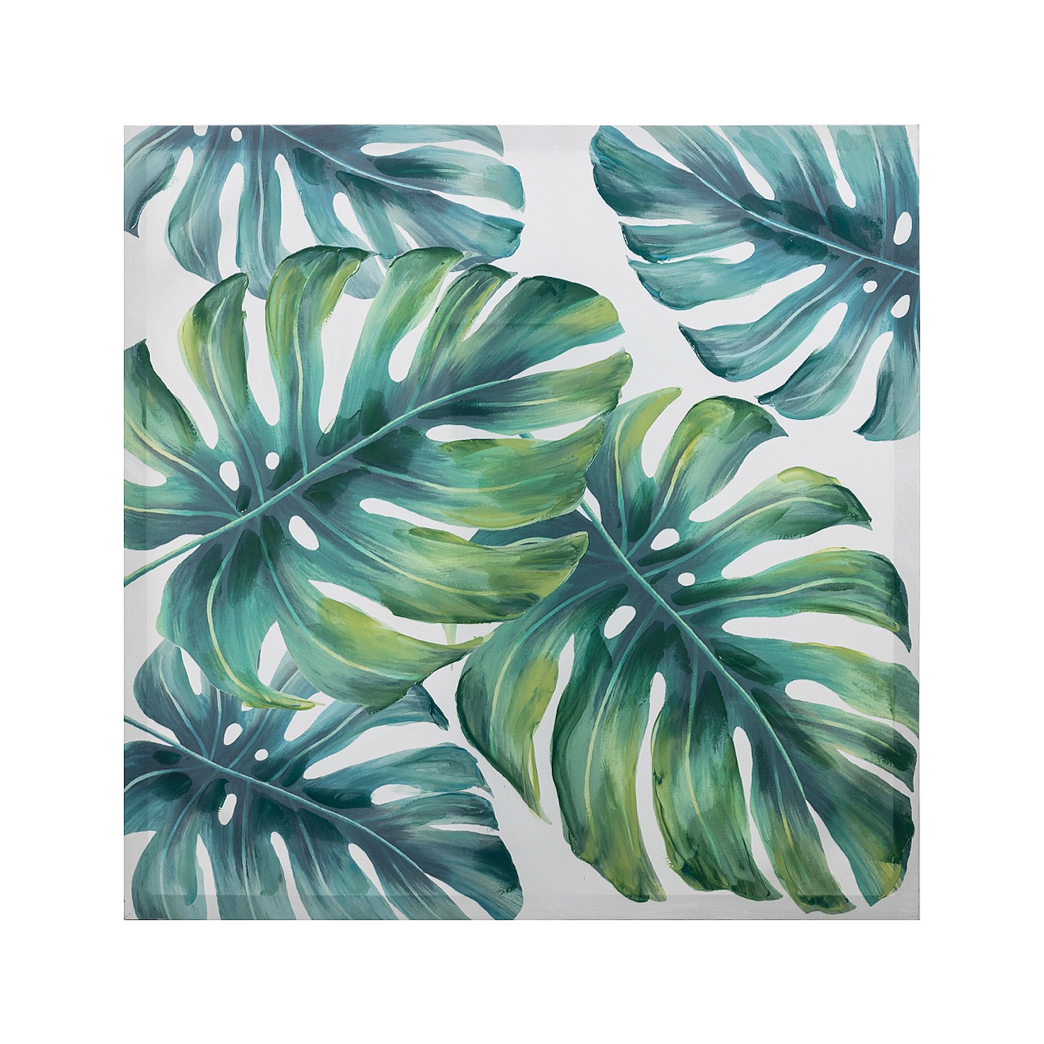 philodendron ring of fire Philodendron Ring of Fire - TEG main image 0