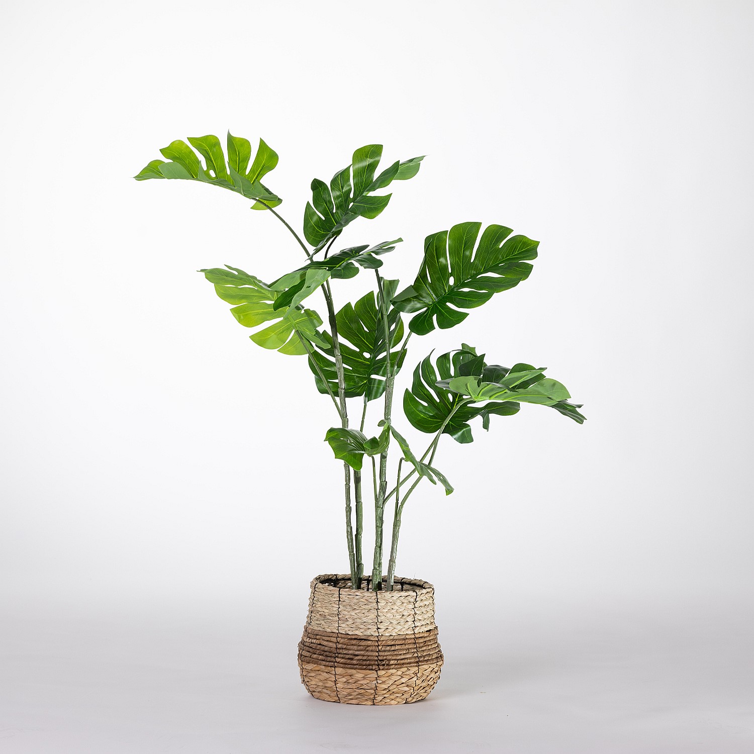 Shop Our New Season Range | Bed, Bath & Beyond NZ - Everlasting Monstera  Palm 120cm