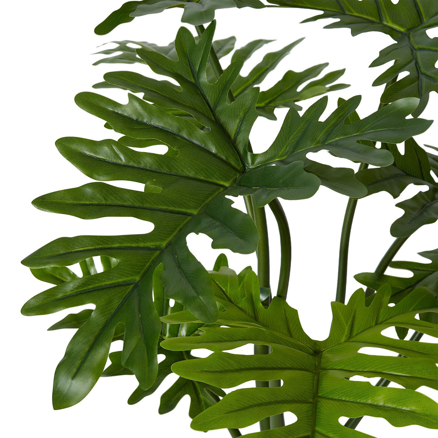 Shop Our New Season Range | Bed, Bath & Beyond NZ - Elme Philodendron  Potted Plant