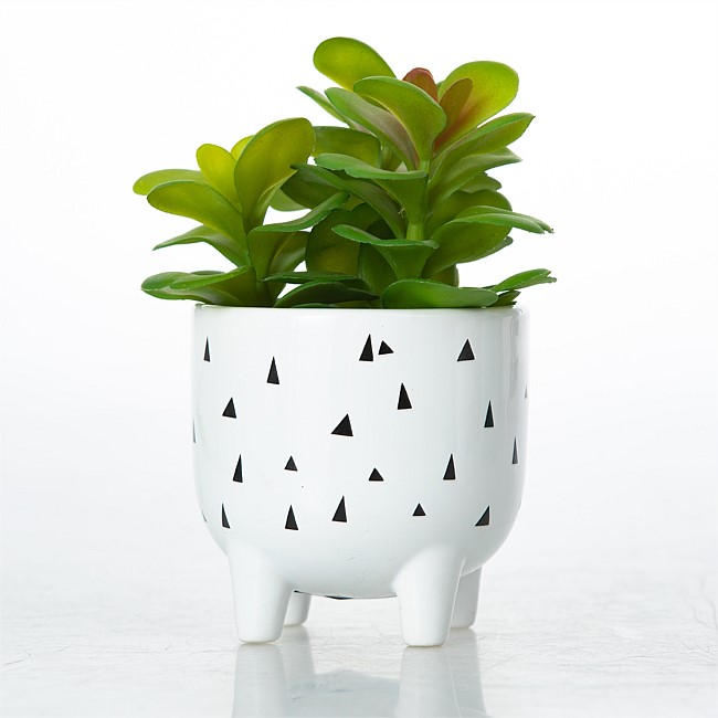 Everlasting Greenery In Rain Ceramic Pot