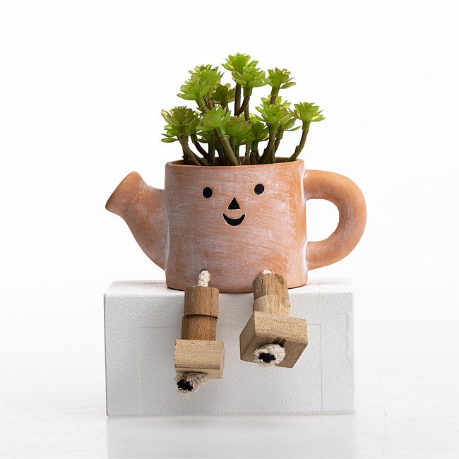 Everlasting Kobe Succulents In A Jug Face Planter