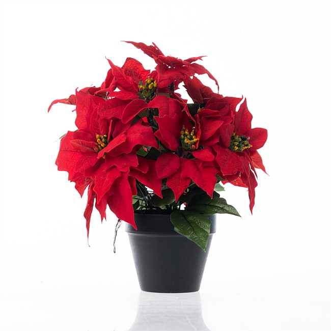 Christmas Wishes Christmas Poinsettia 32cm Christmas Wishes Christmas Poinsettia 32cm