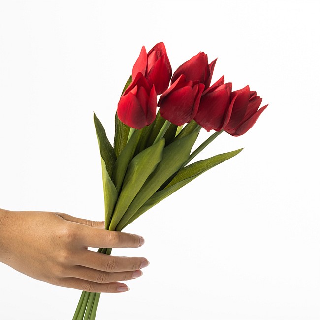 Everlasting Tulip Bunch Red