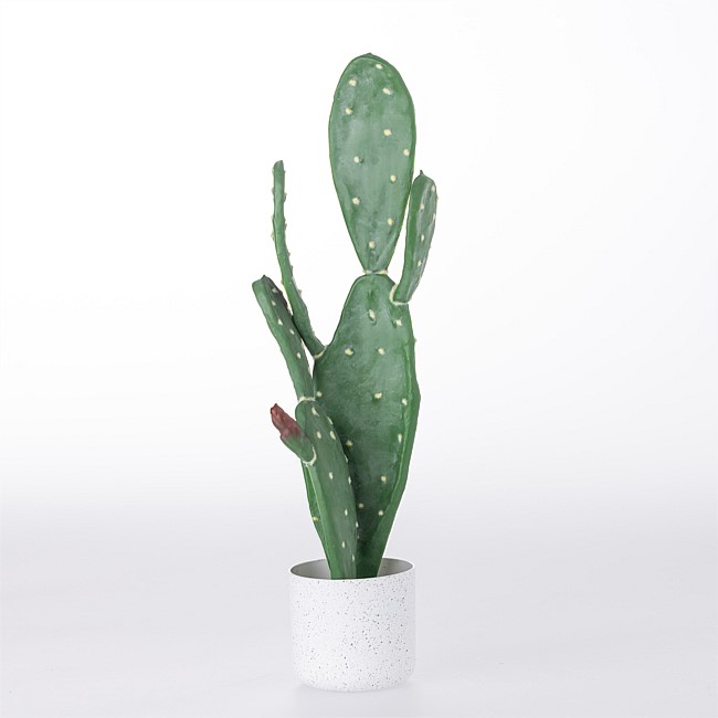 Everlasting Angel Cactus 60cm Everlasting Angel Cactus 60cm