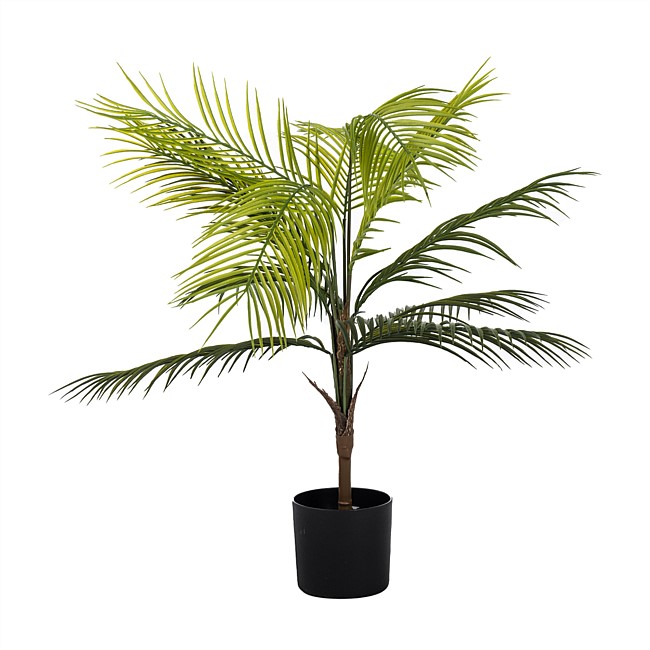 Everlasting Palm Tree 100cm