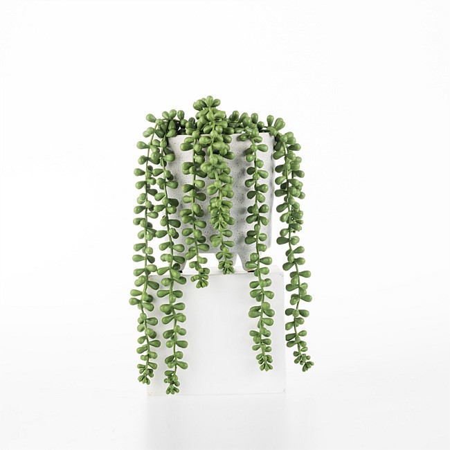 Everlasting Potted Strand Of Beads Everlasting Potted Strand Of Beads
