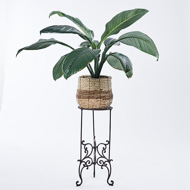 Outsidings Barron Pot Plant Stand Outsidings Barron Pot Plant Stand