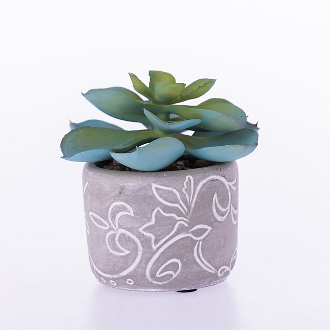 Everlasting Green Succulent In Grey Pot