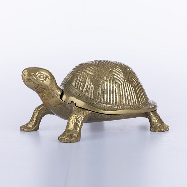 Design Republique Kiann Tortoise Decor Design Republique Kiann Tortoise Decor
