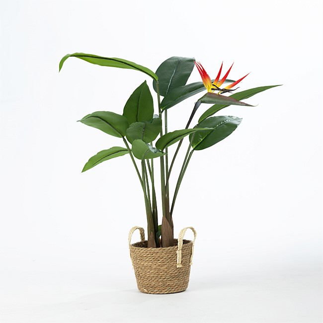 Everlasting Potted Paradise Bird 120cm Everlasting Potted Paradise Bird 120cm