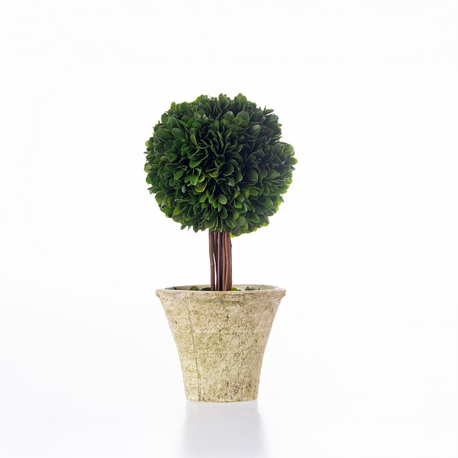 Everlasting Mateus Topiary Ball Small 30cm Everlasting Mateus Topiary Ball Small 30cm