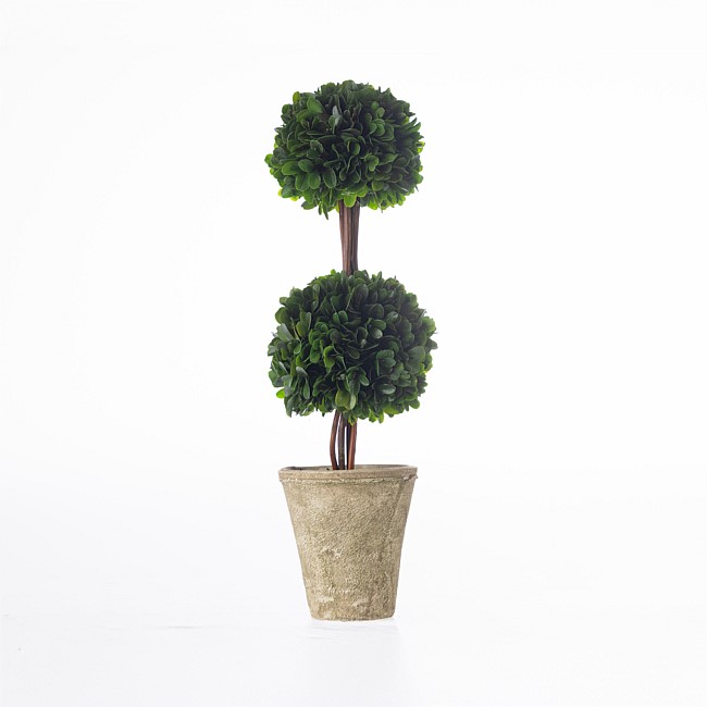 Everlasting Mateus Topiary Double Ball Everlasting Mateus Topiary Double Ball