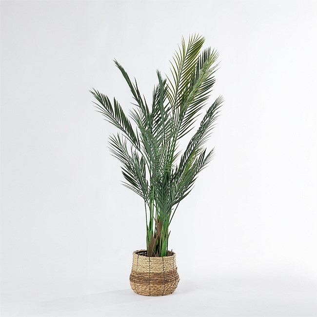 Everlasting Sita Palm Tree 150cm