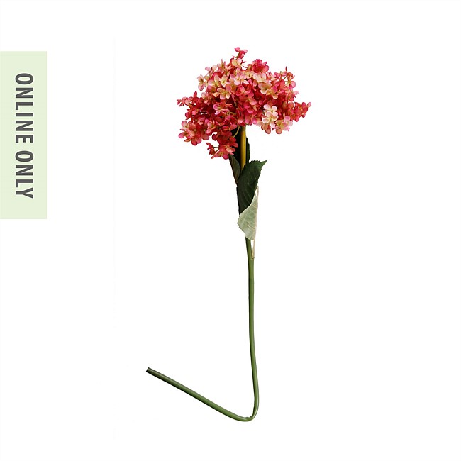 Everlasting Sole Hydrangea Long Stem Pink Everlasting Sole Hydrangea Long Stem Pink