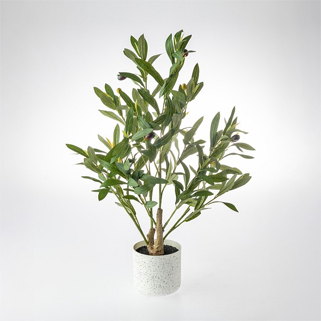 Everlasting Avery Olive Tree 60cm Everlasting Avery Olive Tree 60cm