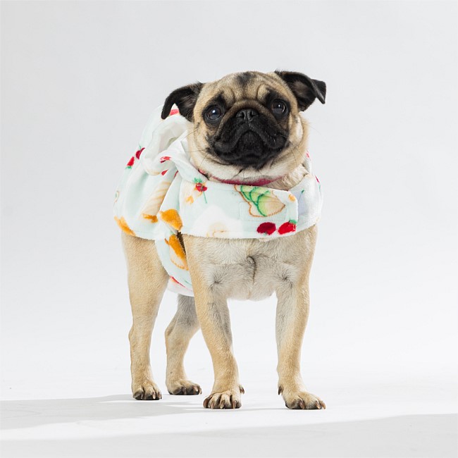 bb&b Pets Breakfast Club Hoodie bb&b Pets Breakfast Club Hoodie