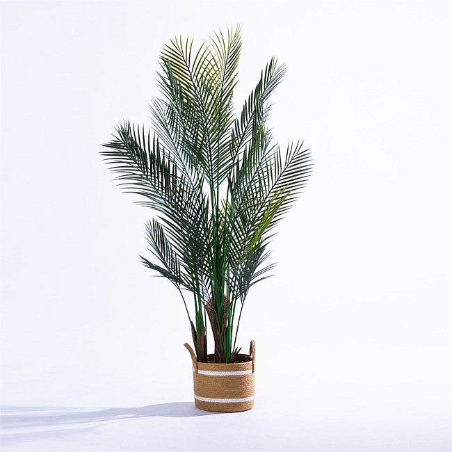 Everlasting Archer Palm Tree 150cm Everlasting Archer Palm Tree 150cm