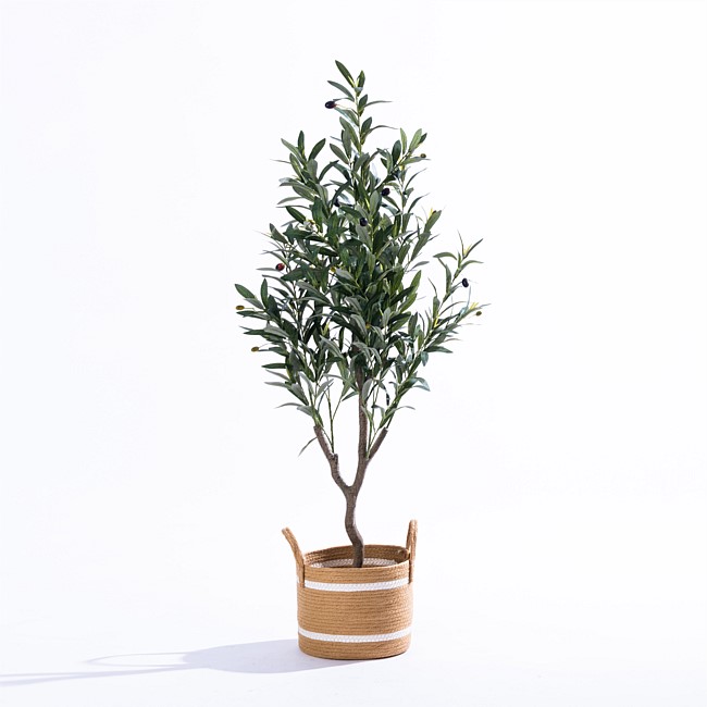 Everlasting Archer Olive Tree 120cm Everlasting Archer Olive Tree 120cm