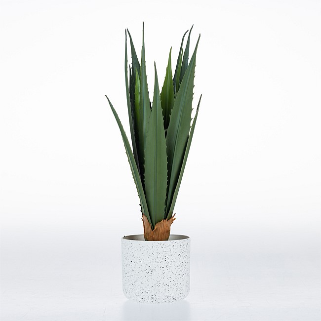 Design Plus Agave Plant 42cm Design Plus Agave Plant 42cm