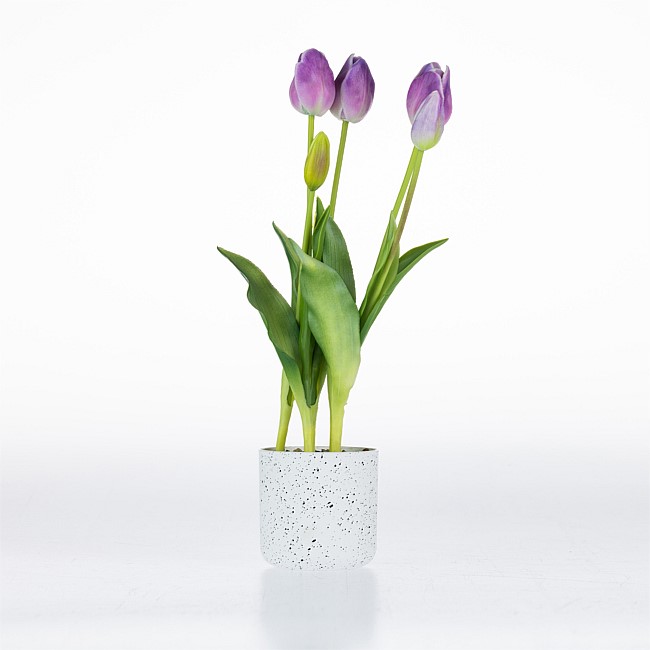 Design Plus Potted Lilac Tulips 40cm Design Plus Potted Lilac Tulips 40cm