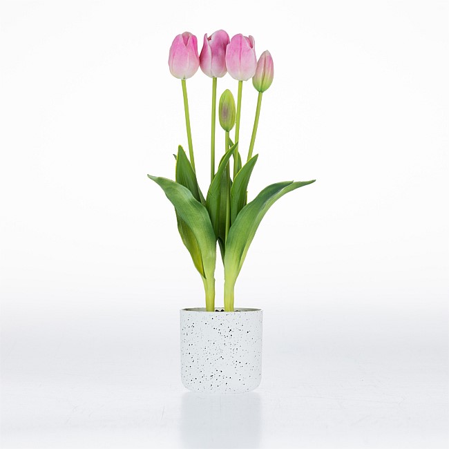 Design Plus Potted Pink Tulips 40cm