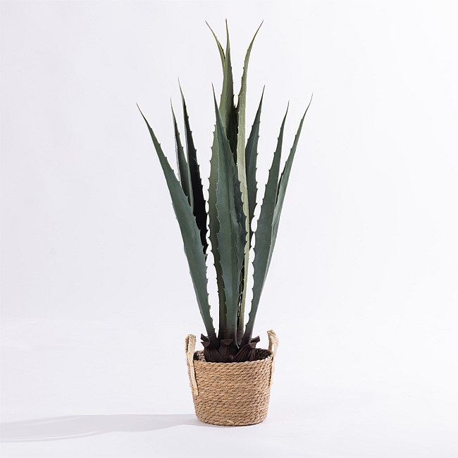 Design Plus Yucca Plant 105cm Design Plus Yucca Plant 105cm