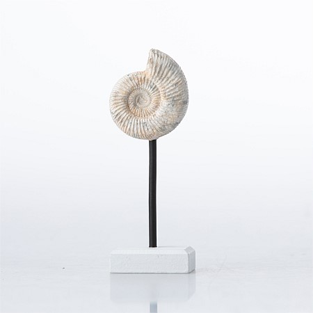 Seaside Supplies Dune Conch On Stand S