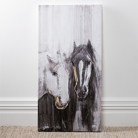 Solace Harlan Black & White Horse Portrait