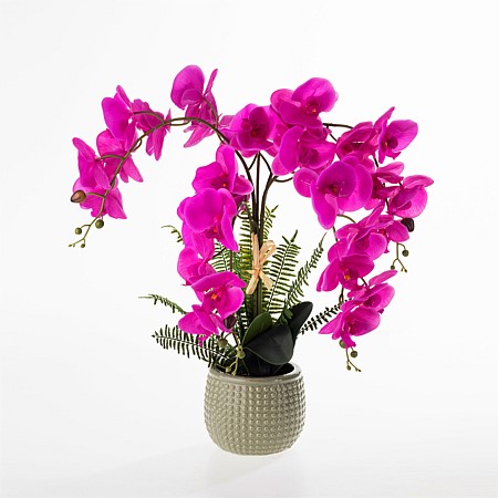 Everlasting De Fleur Pink Orchid