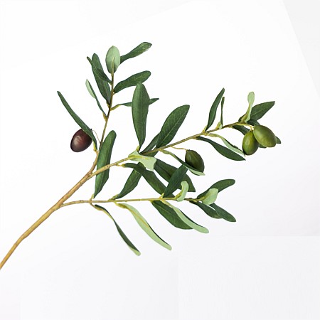 Everlasting Olive Branch 55cm