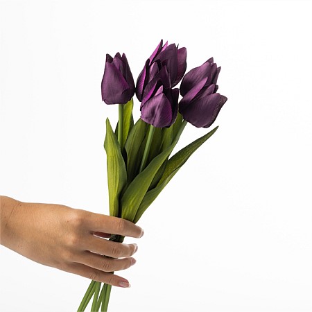 Everlasting Tulip Bunch Purple