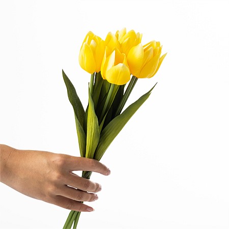 Everlasting Tulip Bunch Yellow