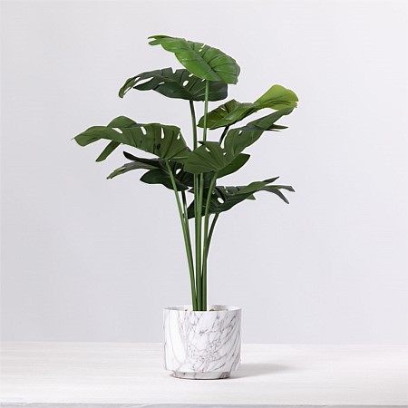 Everlasting Monstera Plant In Pot 63.5cm