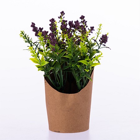 Everlasting Bright Purple Flowers & Grass In Paper Pot