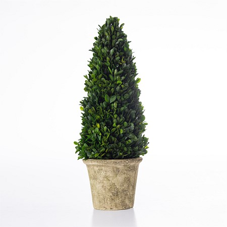Everlasting Mateus Topiary Cone Large 53cm
