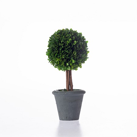 Everlasting Mateus Topiary Ball Charcoal 30cm
