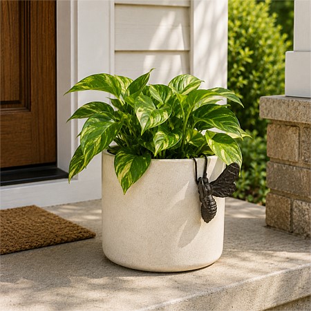 Outsidings Barron Bee Pot Hanger