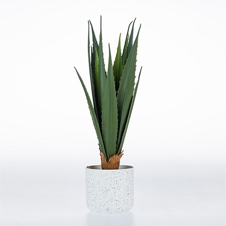 Design Plus Agave Plant 42cm
