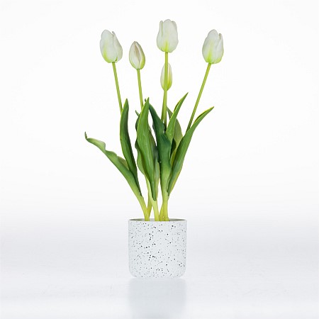 Design Plus Potted White Tulips 40cm
