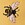 Bee swatch