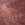 Rose swatch