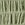 Green Tea swatch