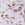 Pink Floral swatch